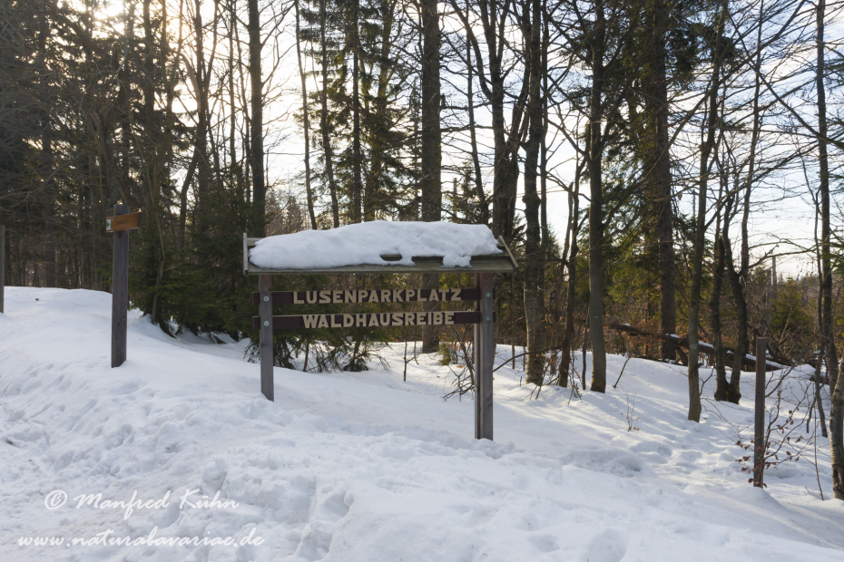 Lusen (BAY_LKR_FRG)_0005
