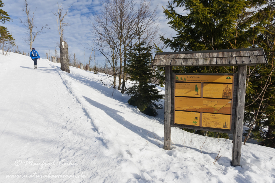 Lusen (BAY_LKR_FRG)_0026