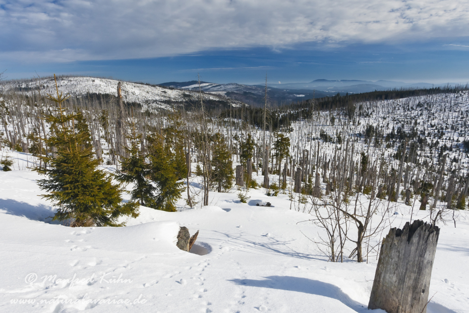 Lusen (BAY_LKR_FRG)_0029