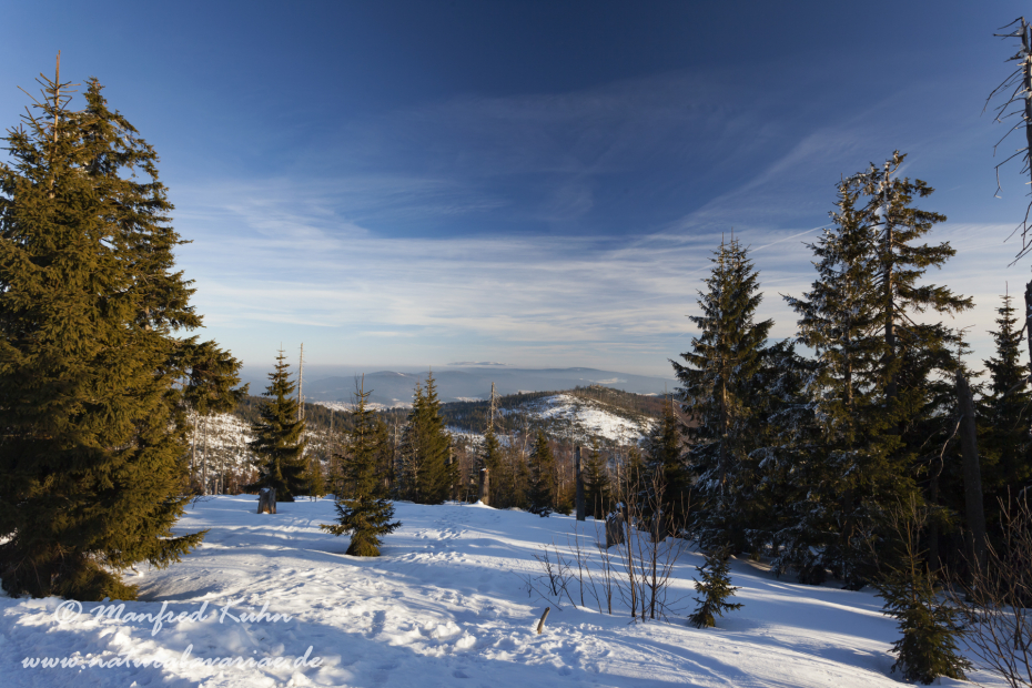 Lusen (BAY_LKR_FRG)_0042
