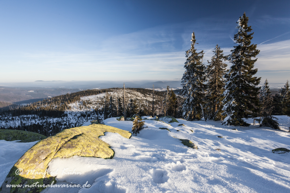Lusen (BAY_LKR_FRG)_0047