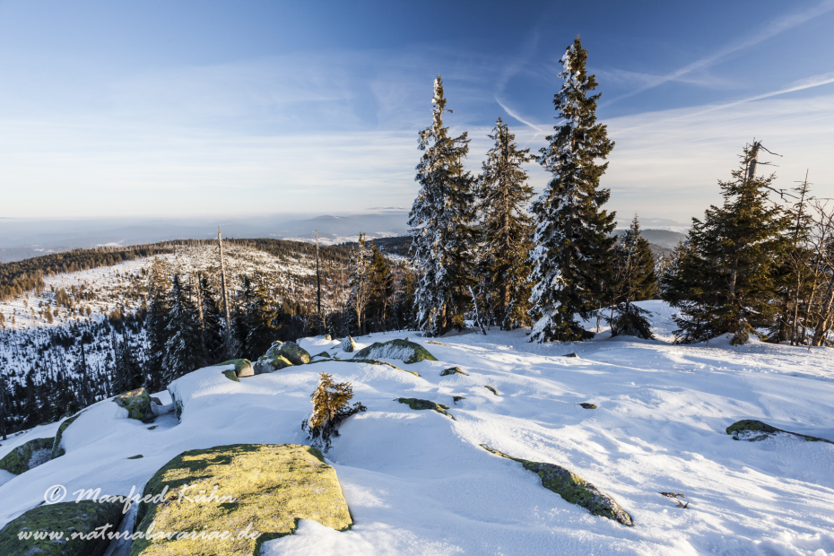 Lusen (BAY_LKR_FRG)_0049