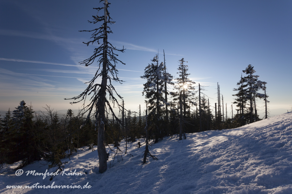 Lusen (BAY_LKR_FRG)_0051