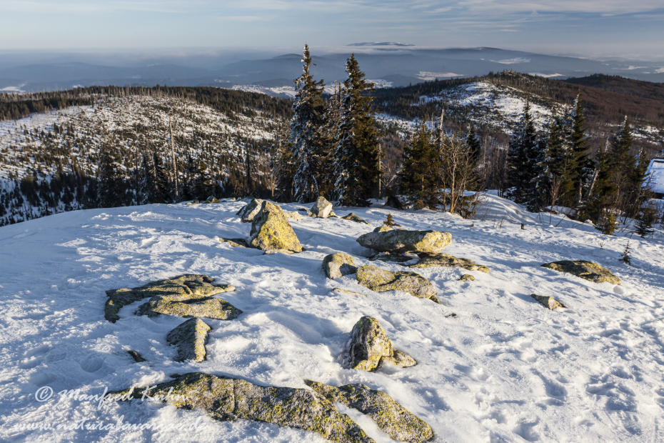 Lusen (BAY_LKR_FRG)_0053