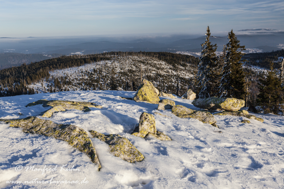 Lusen (BAY_LKR_FRG)_0055