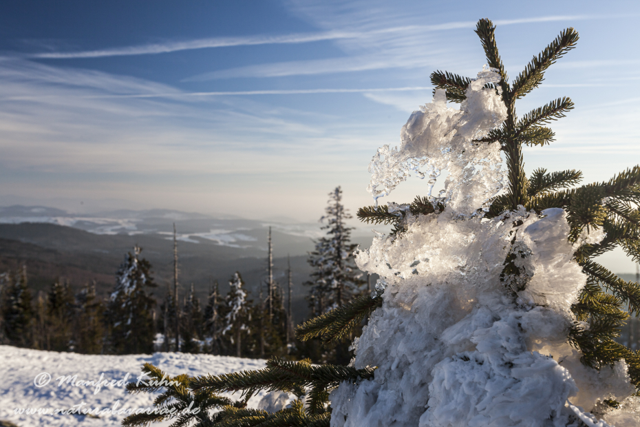 Lusen (BAY_LKR_FRG)_0059