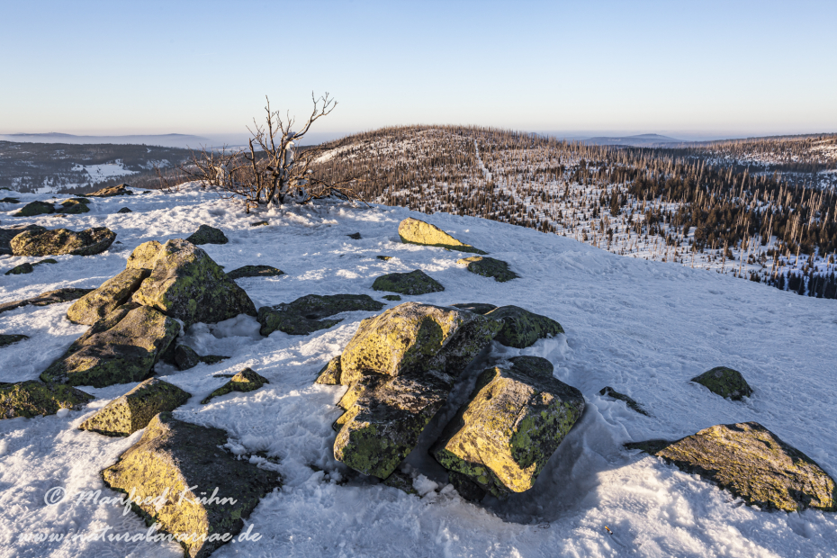 Lusen (BAY_LKR_FRG)_0062