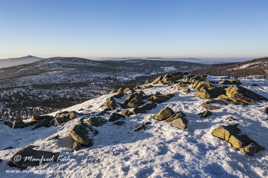 Lusen (BAY_LKR_FRG)_0063