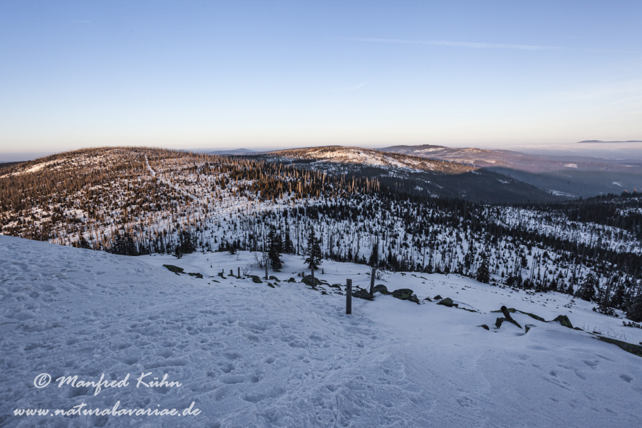Lusen (BAY_LKR_FRG)_0065