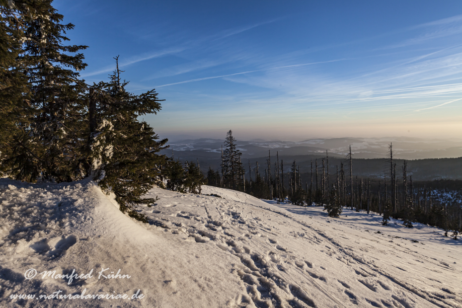 Lusen (BAY_LKR_FRG)_0068