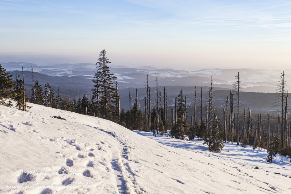 Lusen (BAY_LKR_FRG)_0069