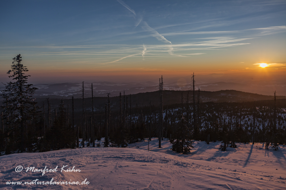 Lusen (BAY_LKR_FRG)_0080