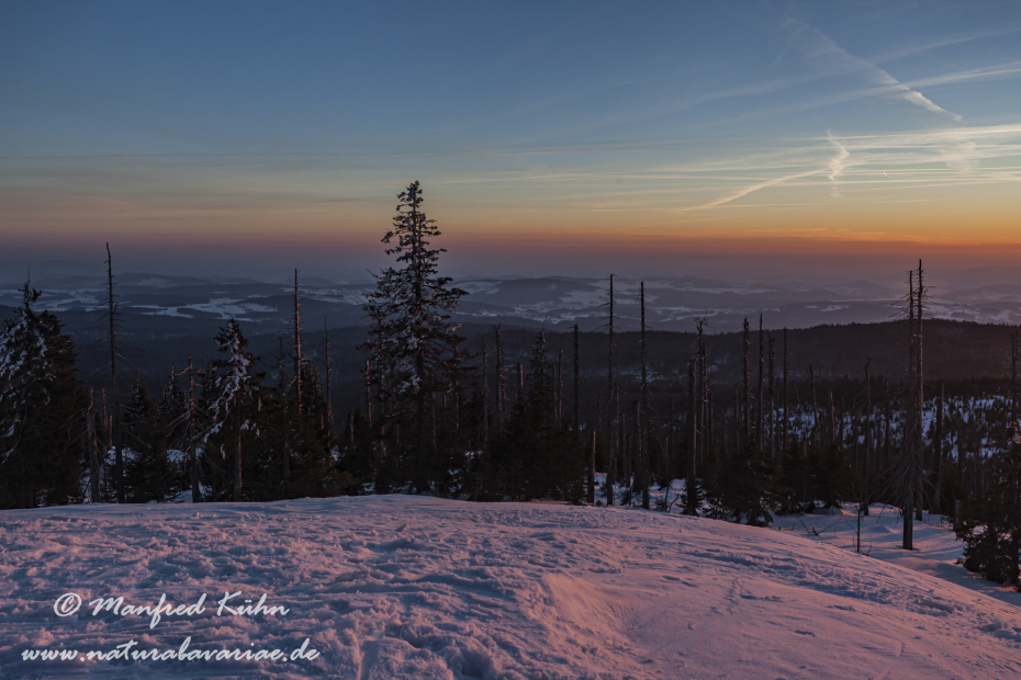Lusen (BAY_LKR_FRG)_0082