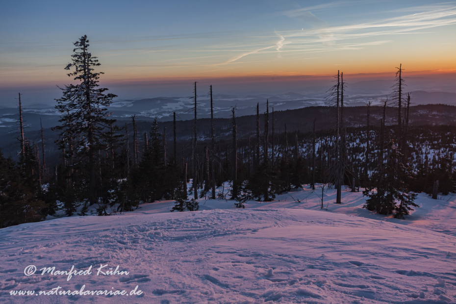 Lusen (BAY_LKR_FRG)_0084