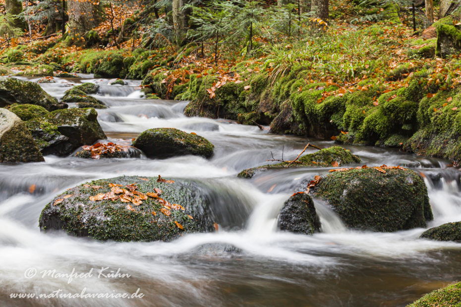 Steinklamm (BAY_LKR_FRG)_0070