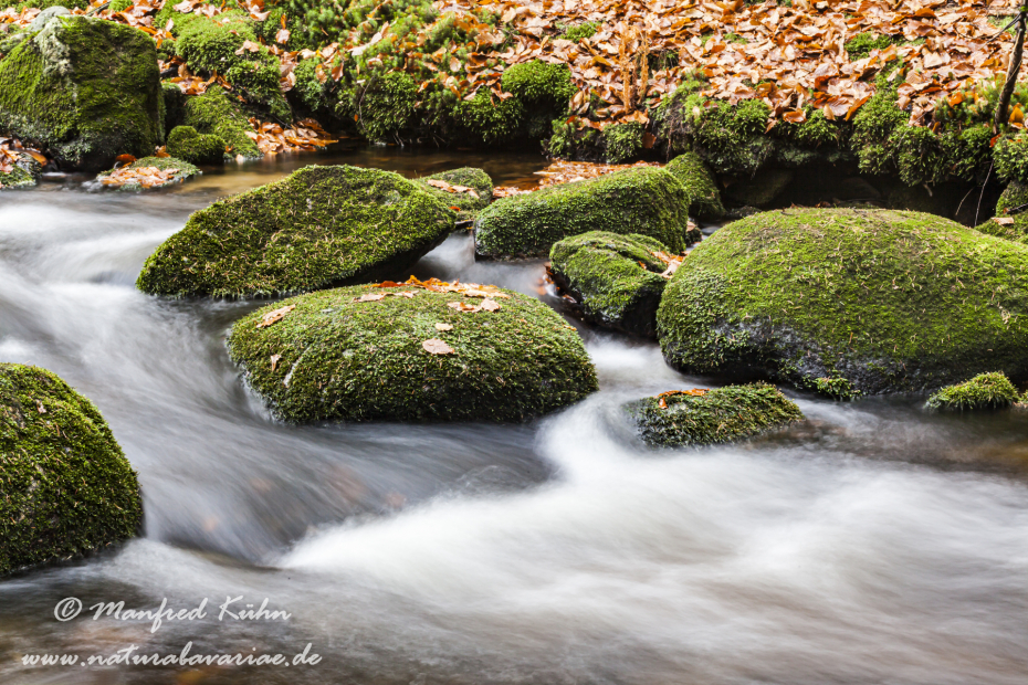 Steinklamm (BAY_LKR_FRG)_0075