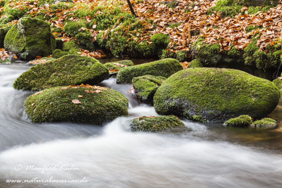 Steinklamm (BAY_LKR_FRG)_0077