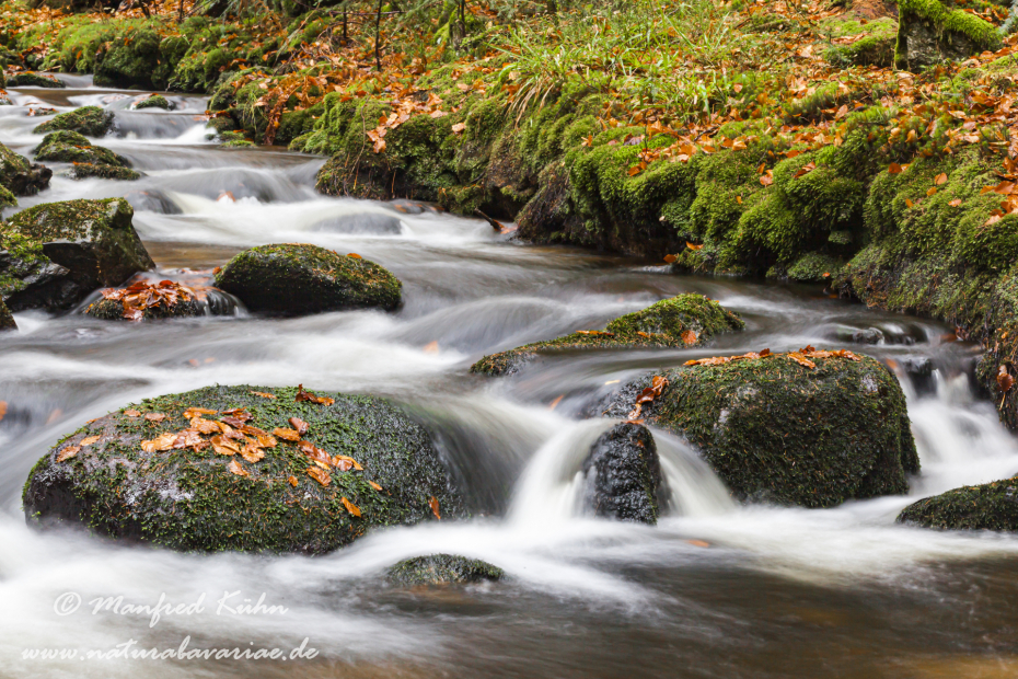 Steinklamm (BAY_LKR_FRG)_0080