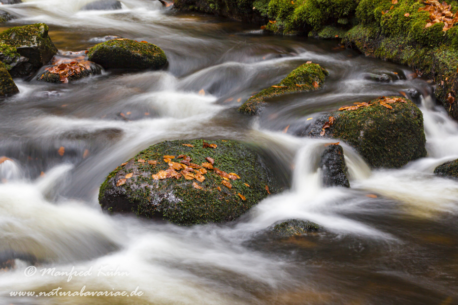 Steinklamm (BAY_LKR_FRG)_0083