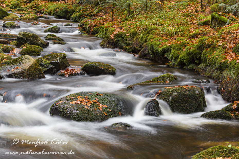 Steinklamm (BAY_LKR_FRG)_0085