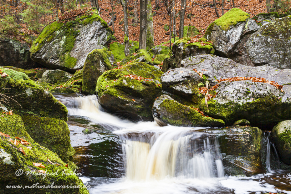 Steinklamm (BAY_LKR_FRG)_0089