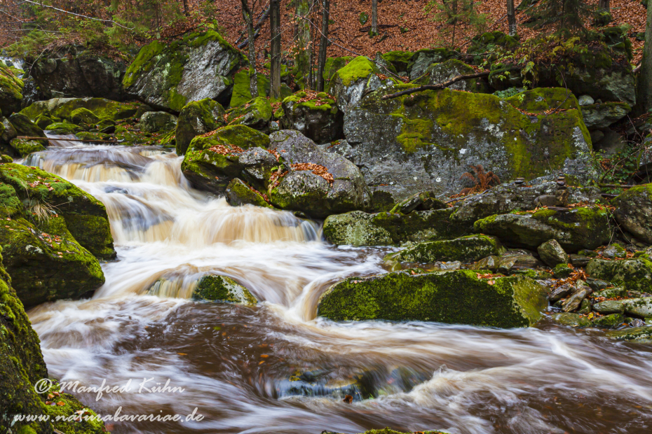 Steinklamm (BAY_LKR_FRG)_0092