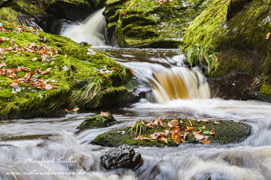 Steinklamm (BAY_LKR_FRG)_0095