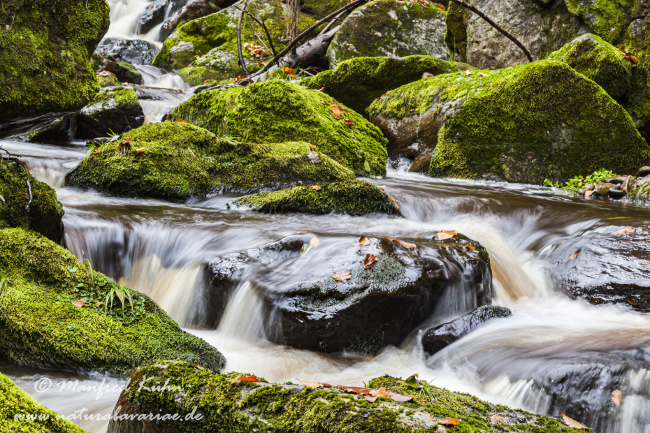 Steinklamm (BAY_LKR_FRG)_0105