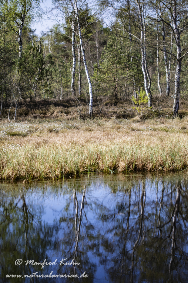 Haspelmoor (BAY_LKR_FFB)_0136