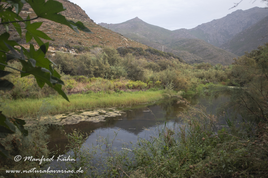 Korsika (Frankreich)_0001