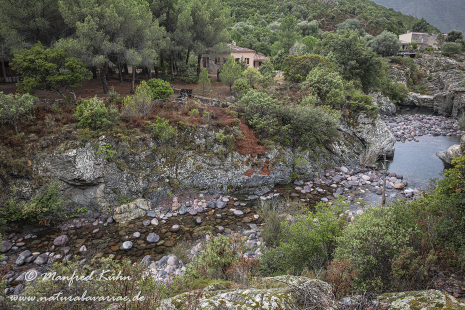 Korsika (Frankreich)_0065