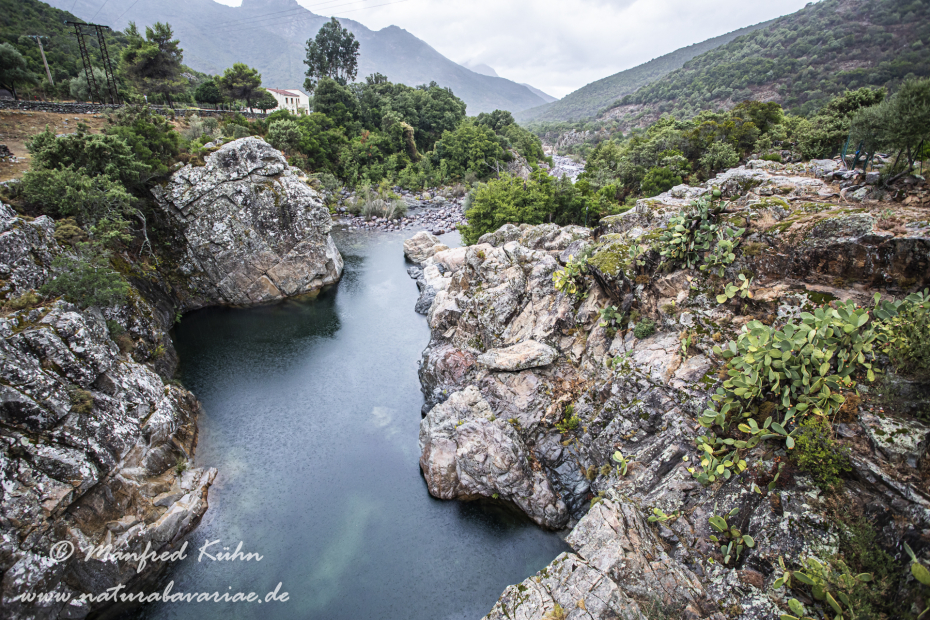 Korsika (Frankreich)_0070