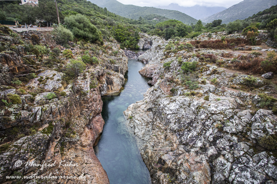 Korsika (Frankreich)_0071