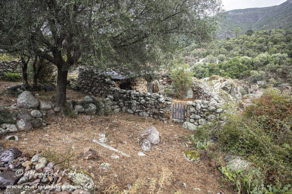 Korsika (Frankreich)_0077