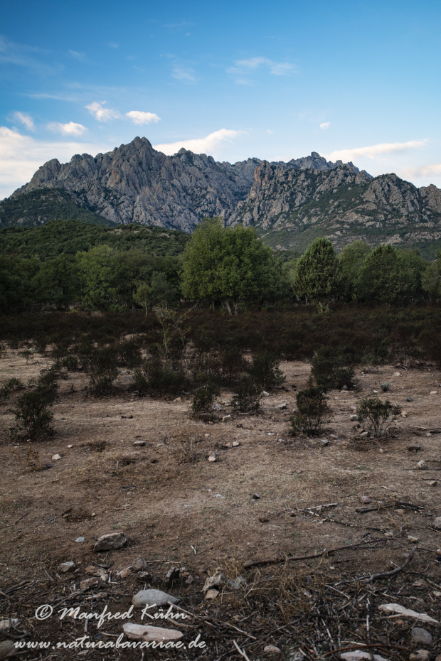Korsika (Frankreich)_0116