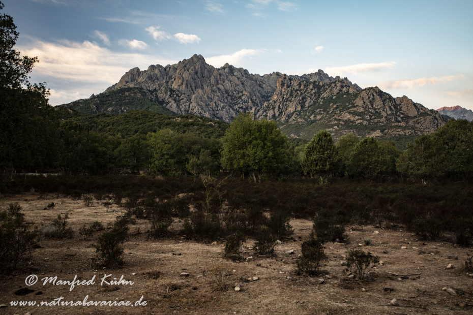 Korsika (Frankreich)_0117