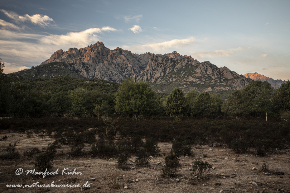 Korsika (Frankreich)_0120