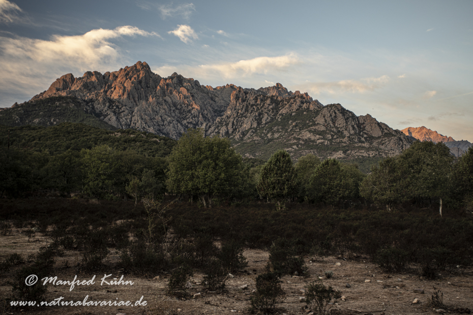 Korsika (Frankreich)_0122