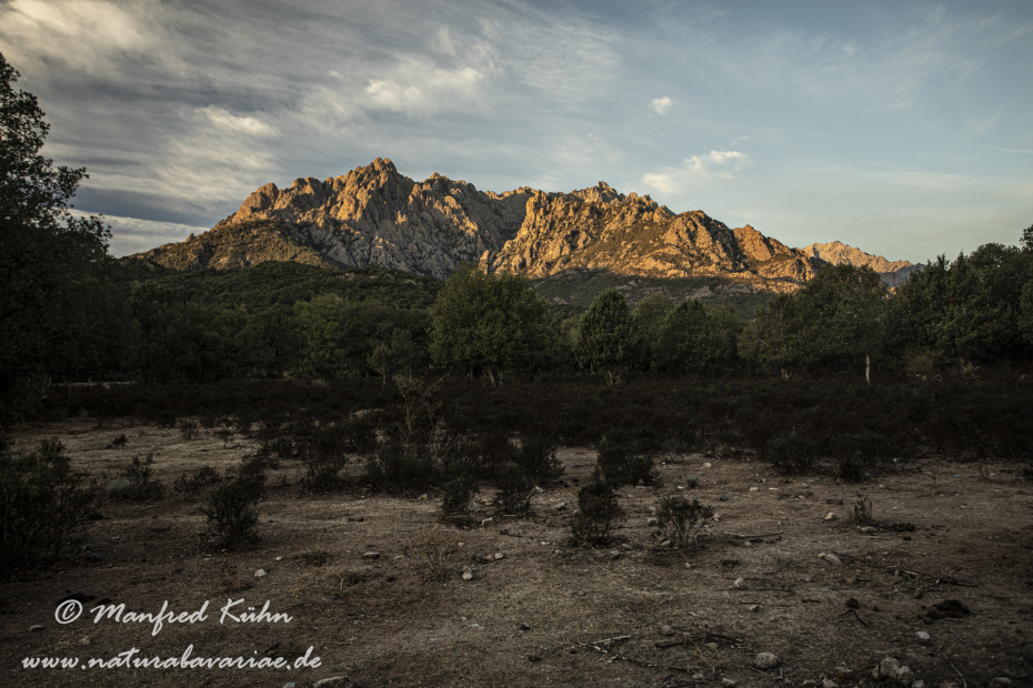 Korsika (Frankreich)_0132