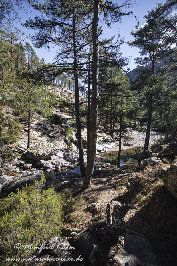 Korsika (Frankreich)_0153
