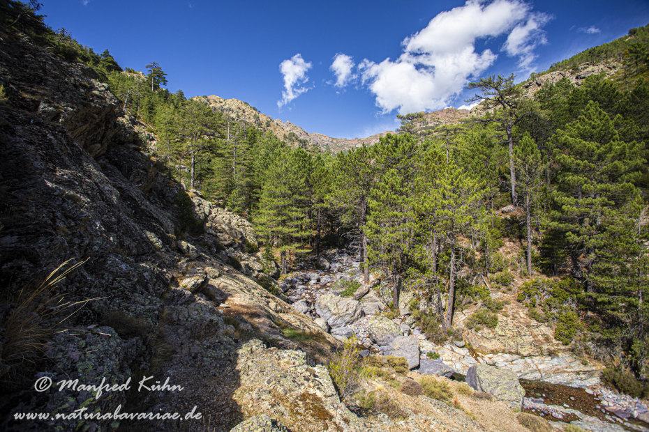 Korsika (Frankreich)_0155