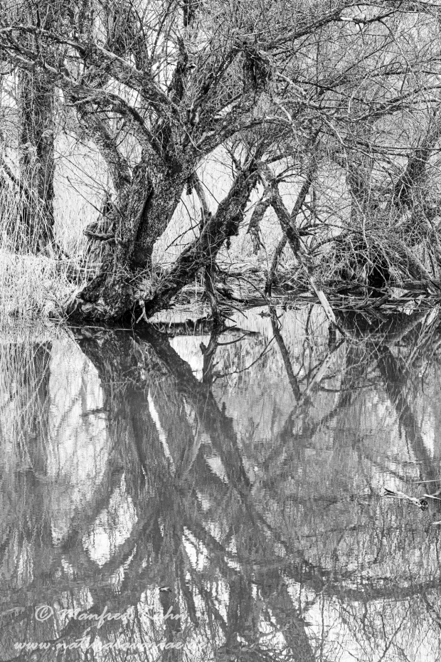 Isar (BAY_LKR_DEG)_0004