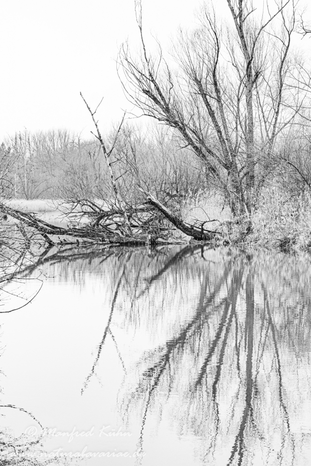 Isar (BAY_LKR_DEG)_0006