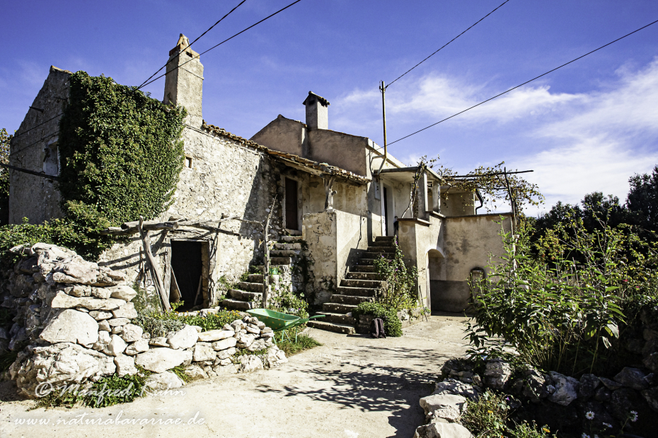 Cres (Kroatien)_0031