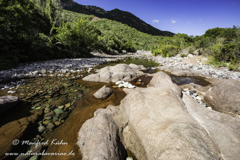 Korsika (Frankreich)_0204