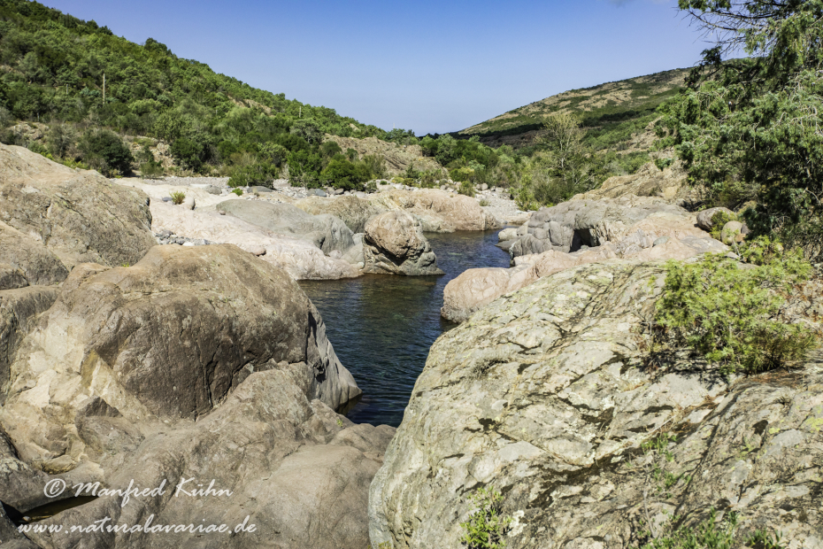 Korsika (Frankreich)_0208