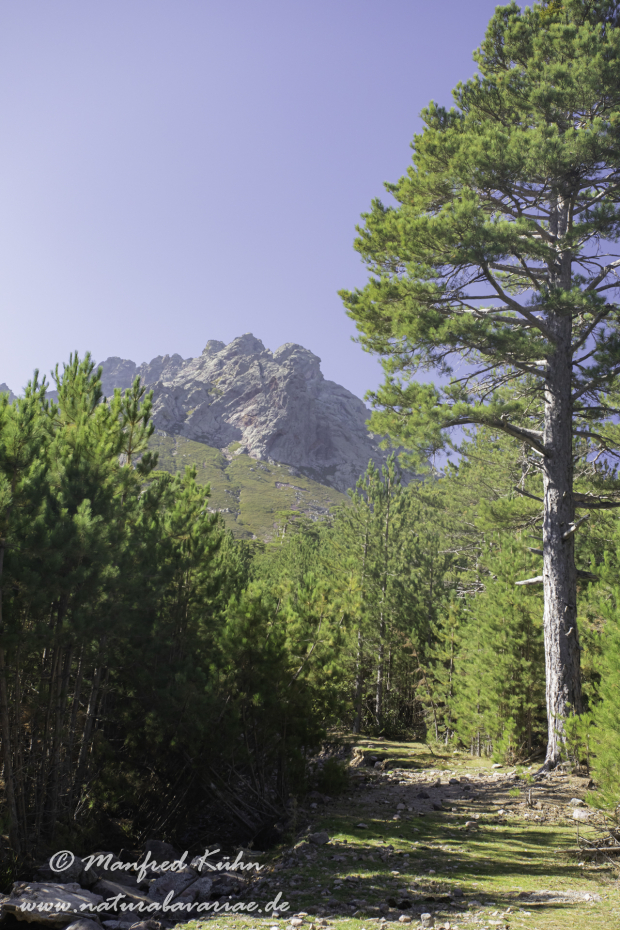 Korsika (Frankreich)_0223