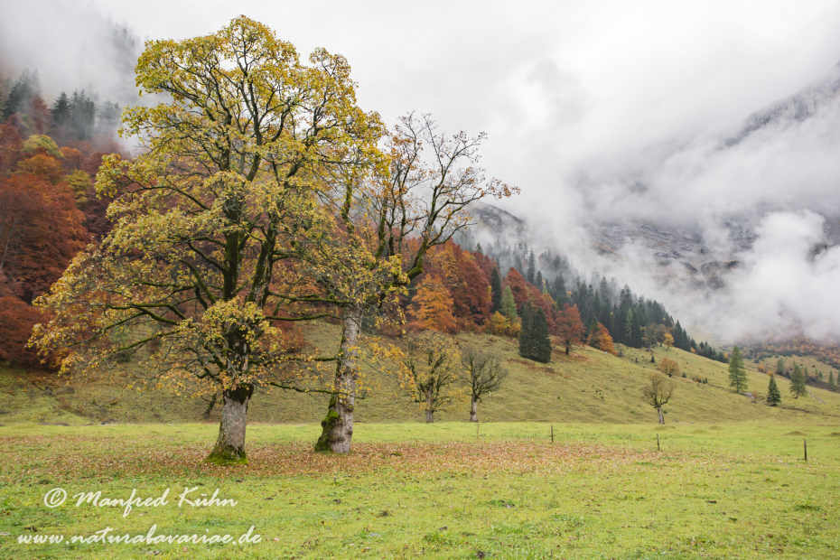 Großer Ahornboden (Österreich)_0041