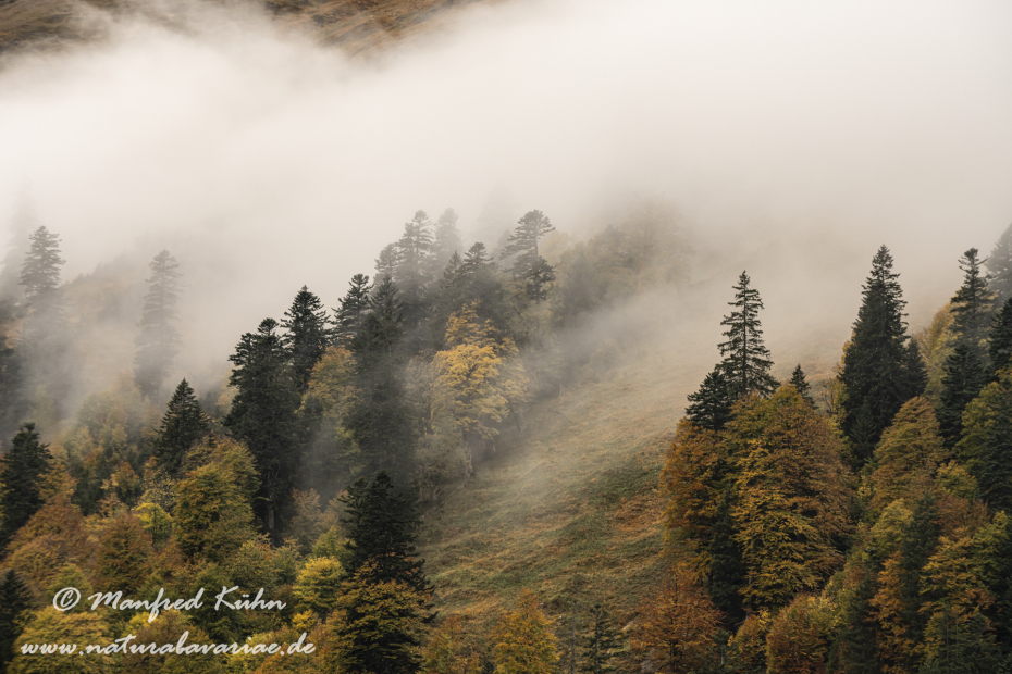 Großer Ahornboden (Österreich)_0095