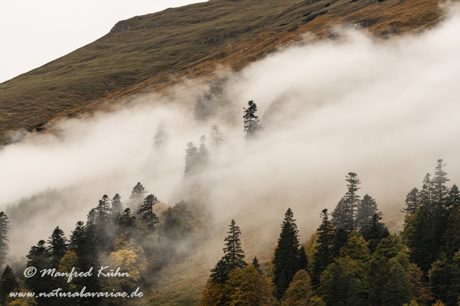 Großer Ahornboden (Österreich)_0097